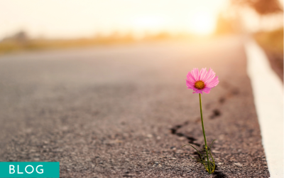 Letting Go as a Quiet Act of Healing