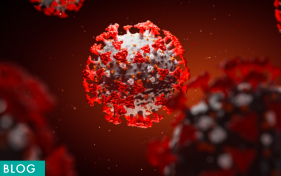 New COVID-19 Guidelines Released by the CDC