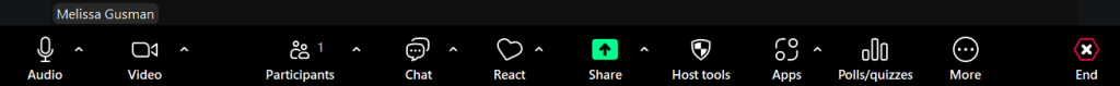 Image of the Zoom tool bar when in a virtual meeting